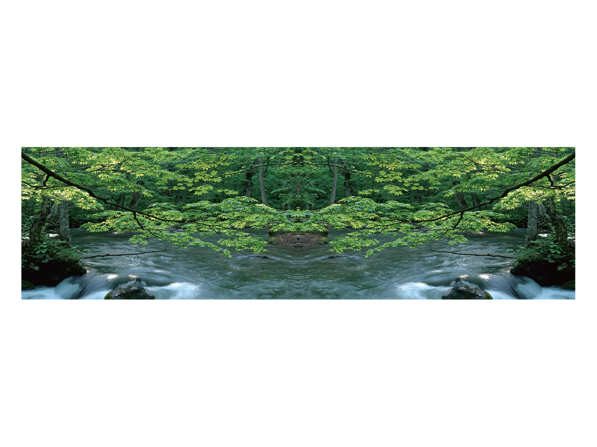 アートスクリーン - 商品画像4